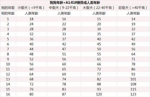 狗狗年龄对照表 你家狗狗现在几岁了 寿命 牙齿 眼神