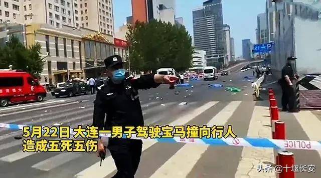 辽宁刘东宝马撞人图片图片