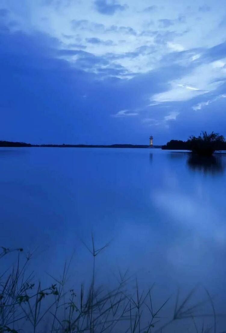 泰州|泰州溱湖：冬韵生色 暖了时光