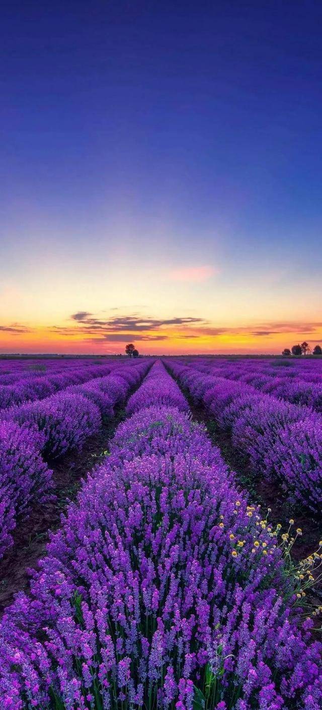 20张风景如画人间仙境高清手机壁纸送给你