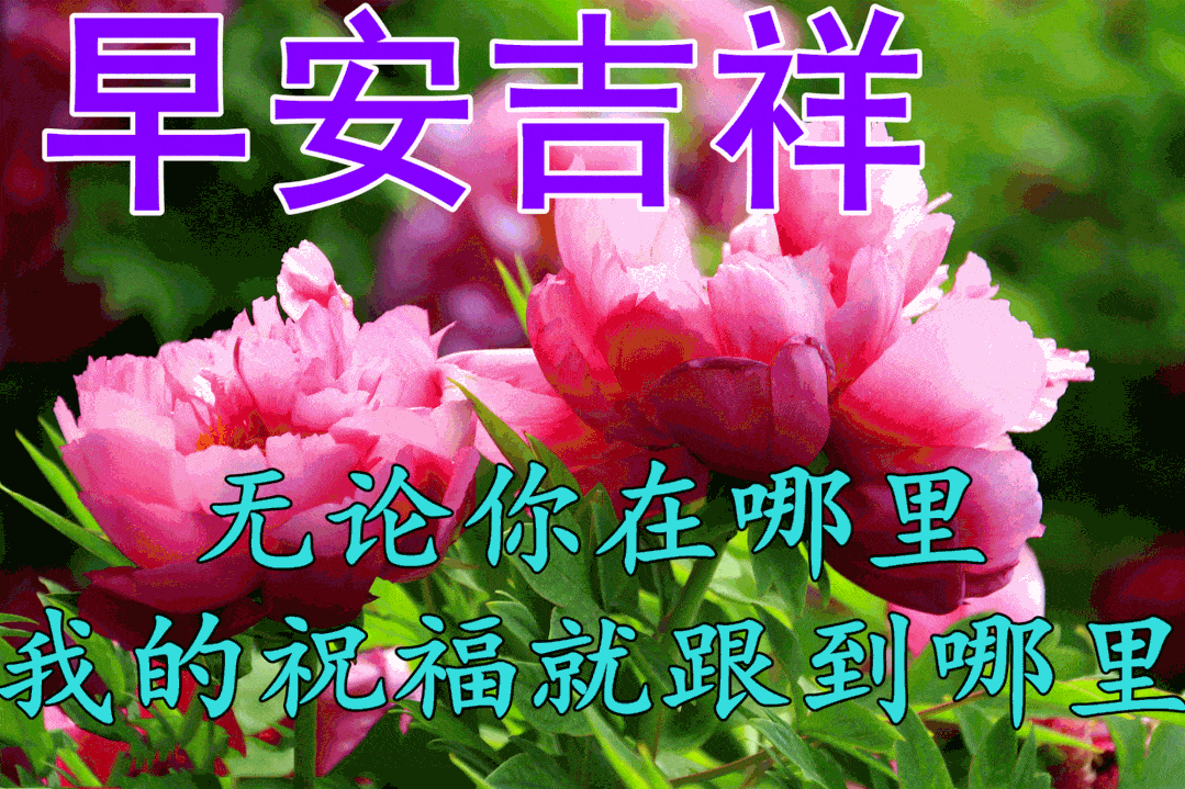 特别漂亮的早安祝福动态图片大全冬天早上好祝福语