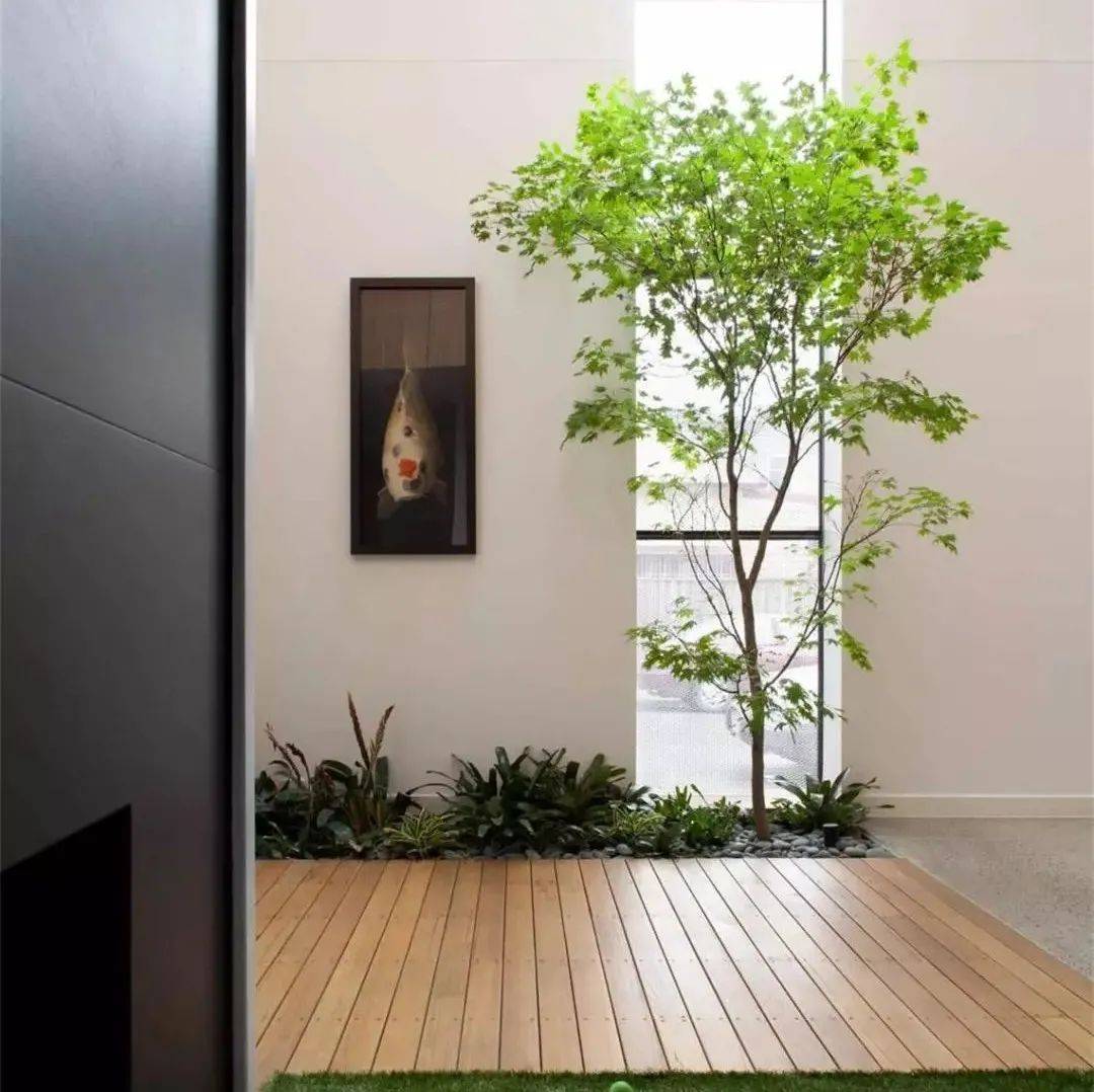 在屋里种了一棵树,是美翻了,还是做样子~_休闲餐厅_房间_空间