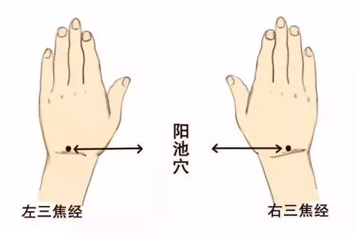 池穴,這個穴位顧名思義就是陽氣聚集的地方,它位於手腕背橫紋的中點處