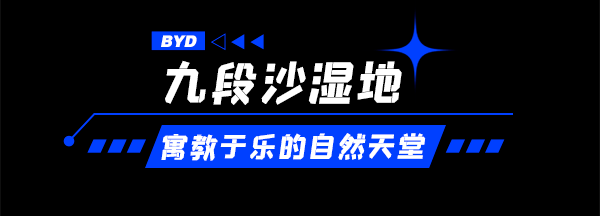 上海|藏不住了！魔都节假日出游指南，邂逅不一样的宝藏惊喜！