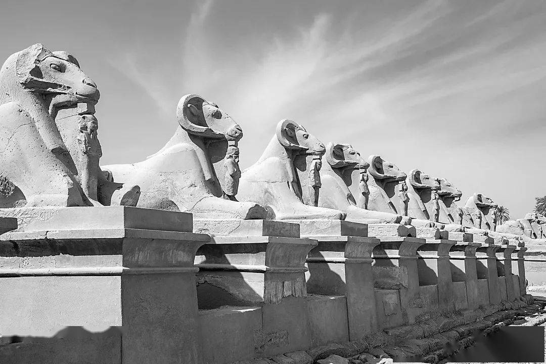 环球旅讯 | 埃及“公羊大道”揭开神秘面纱