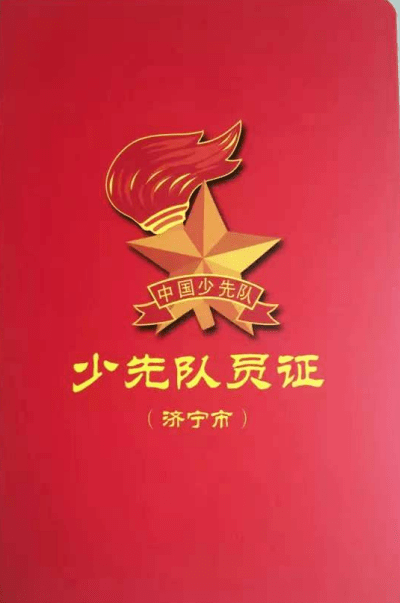 崇德向善,并为全市10万名新入队少先队员发放少先队员证,增强了少先