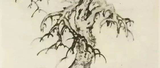 怎样画树?这个教程便是极好的!_树木_线条_树分