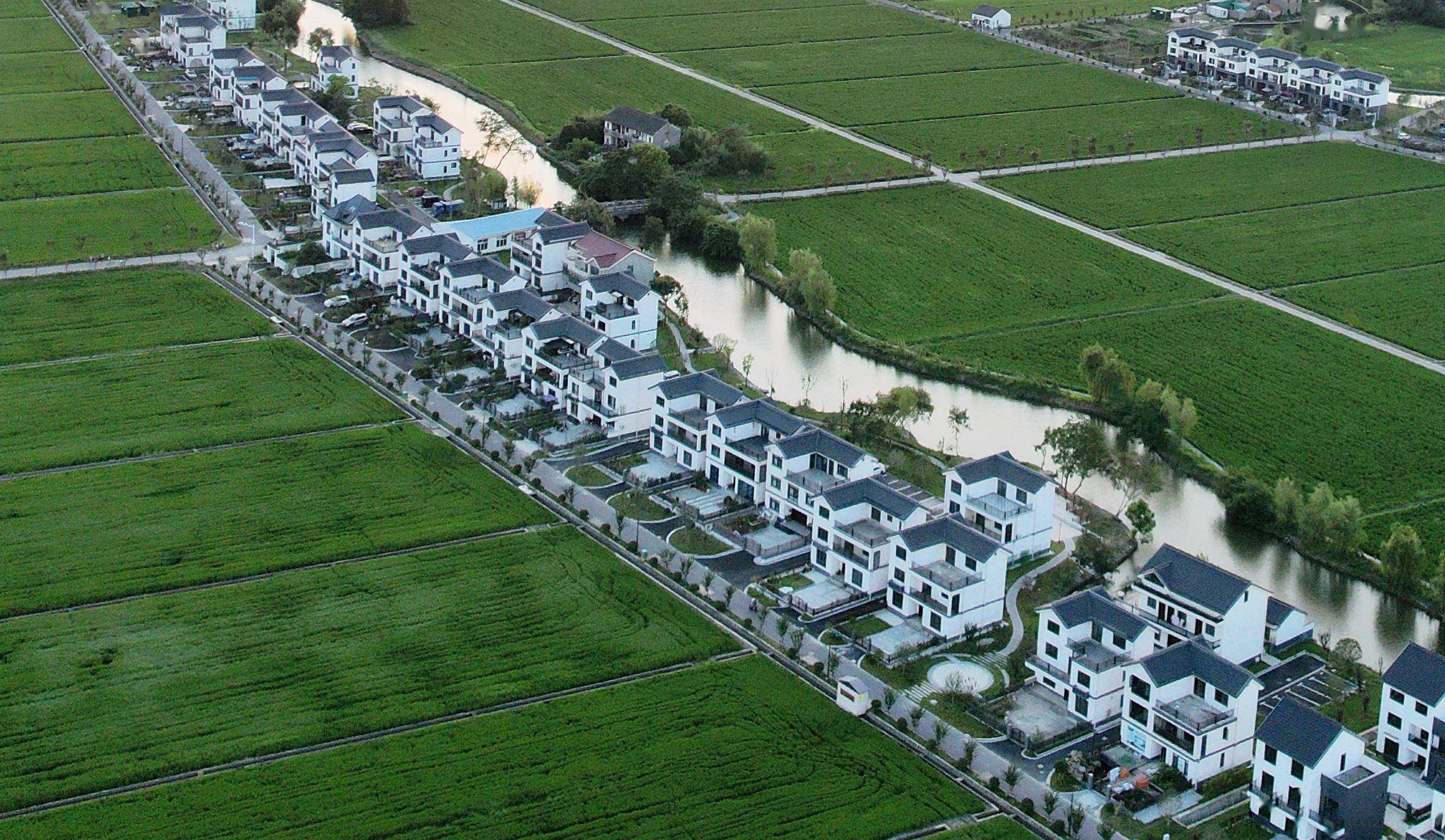 有上海韵味的乡村原来这么美如何打造精品乡村这些学者将历时三年的