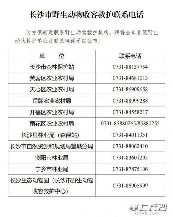 明天起，这件事长沙人千万别再做！
