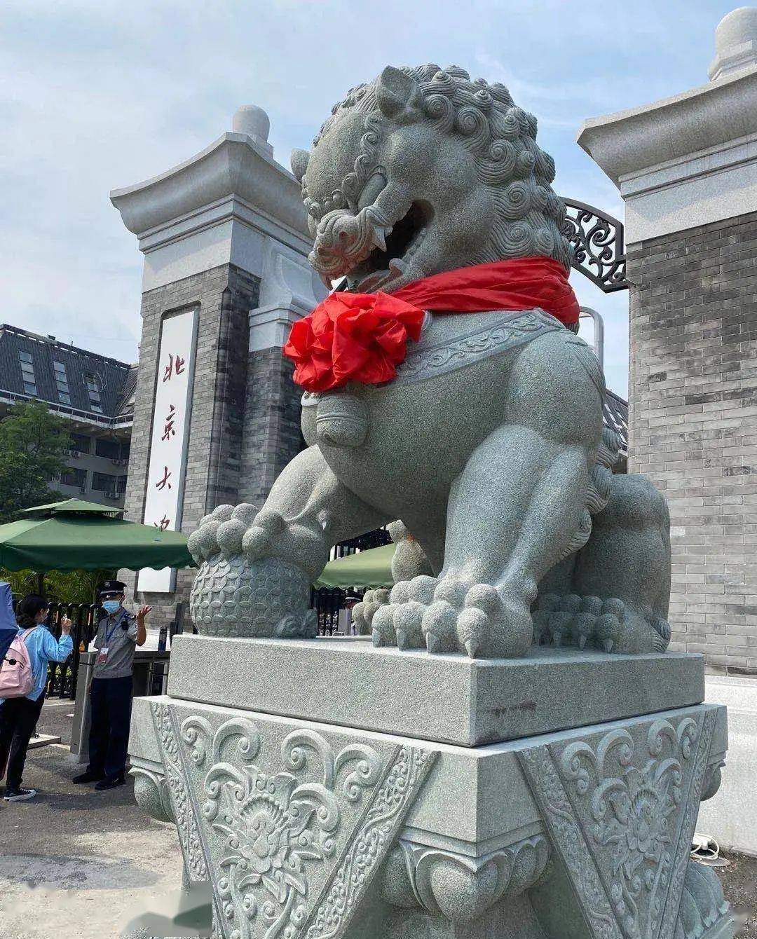 北大的公石狮子被人做绝育了