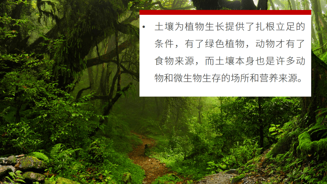 什么是供地 081a1e4880e545b29cb1f08569c5fcf8.png