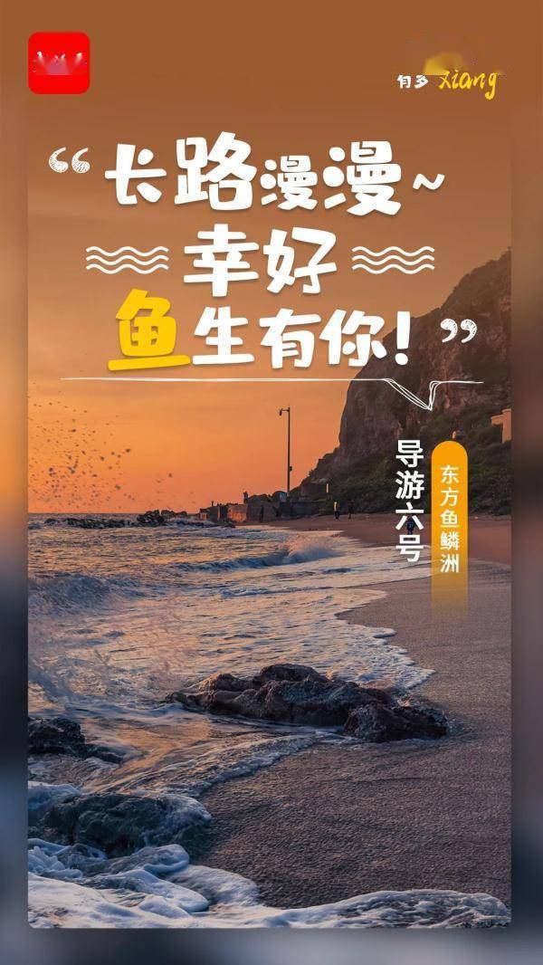 导游|海南宝藏“导游”集体出镜！元旦就要去一些可可爱爱的地方……