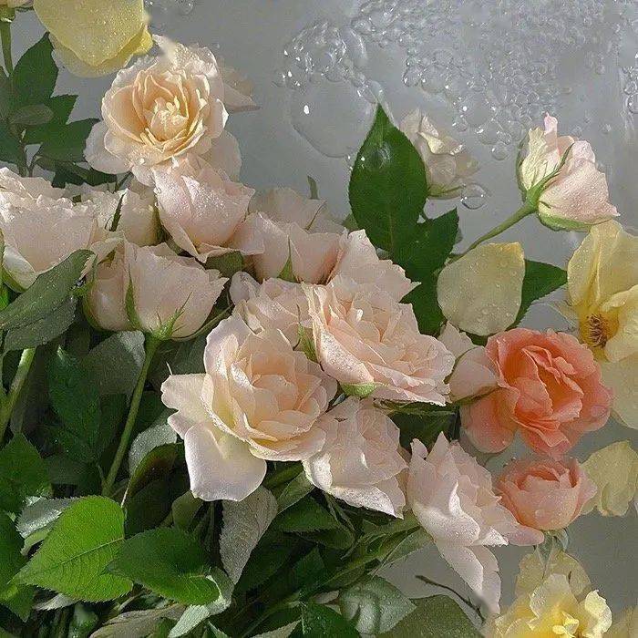 微信朋友圈背景图