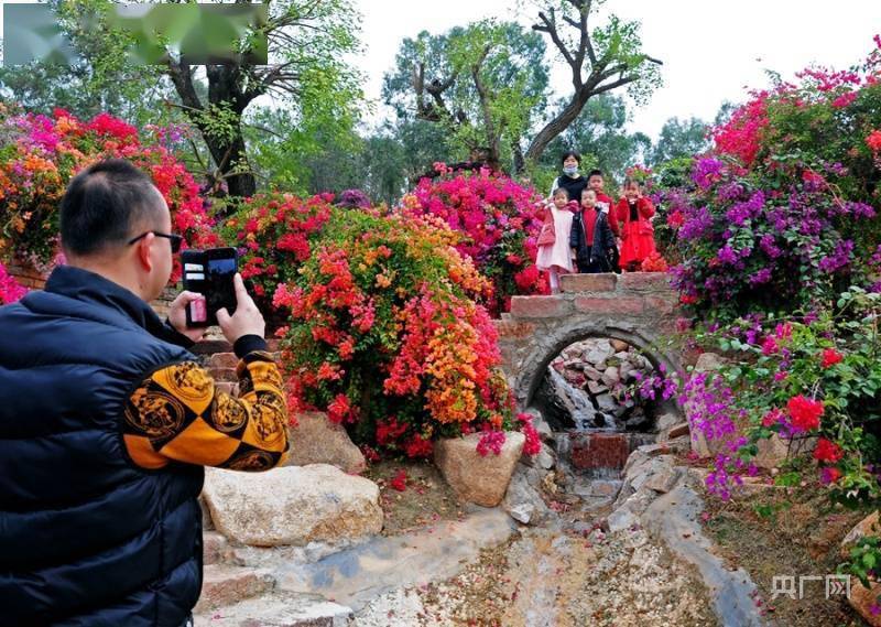 广州|【图集】徜徉3000亩花海！广州“宝藏级”植物园开放预约