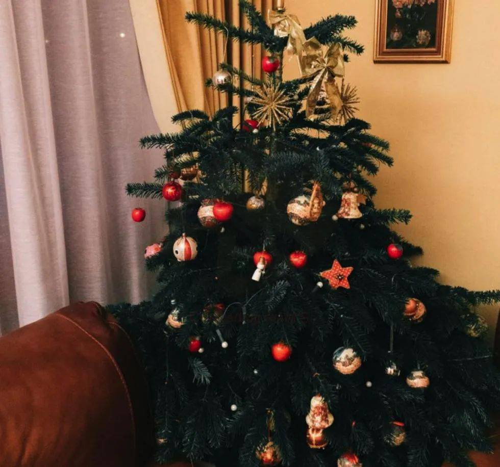 俄罗斯人的过年传统习俗_搜狐网