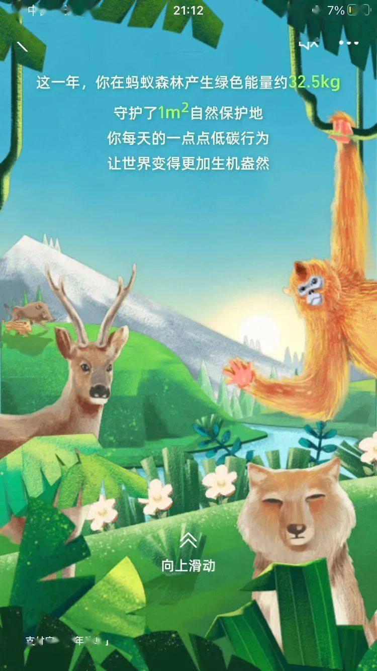 保障|2021支付宝“年度账单”发布，看看你花了多少钱？