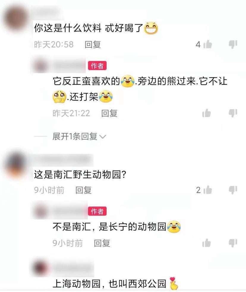 网友|什么？！有人给上海动物园马来熊投喂喜茶？