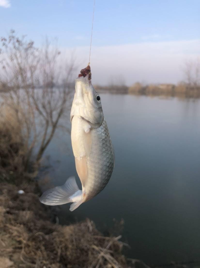 a070550da68d4d40a680ad53f335a1ab.jpeg