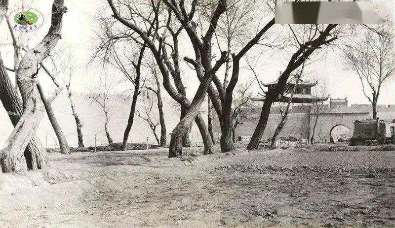 120年前的乌鲁木齐喀什伊犁是什么样看完这些老照片你一定大开眼界
