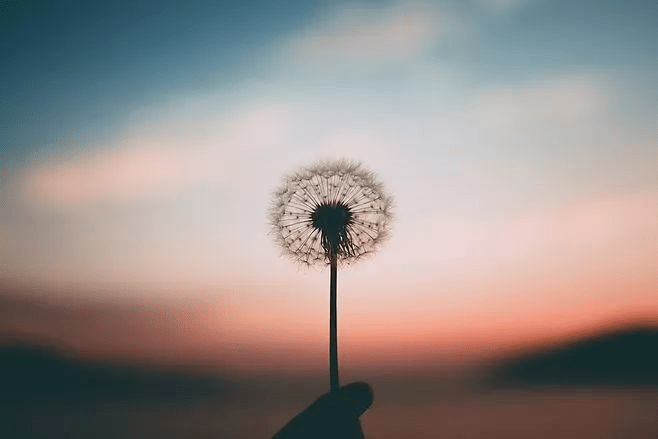5ffb5692a96f4ed2a33a0a0f35fec555.png