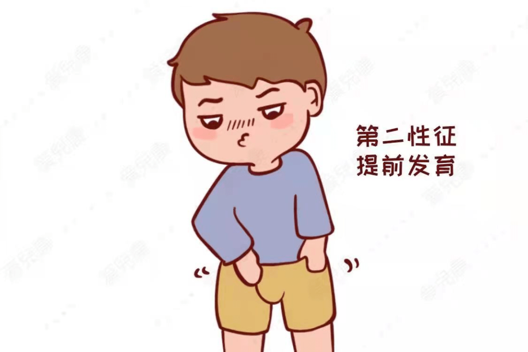 男孩第二性征图片