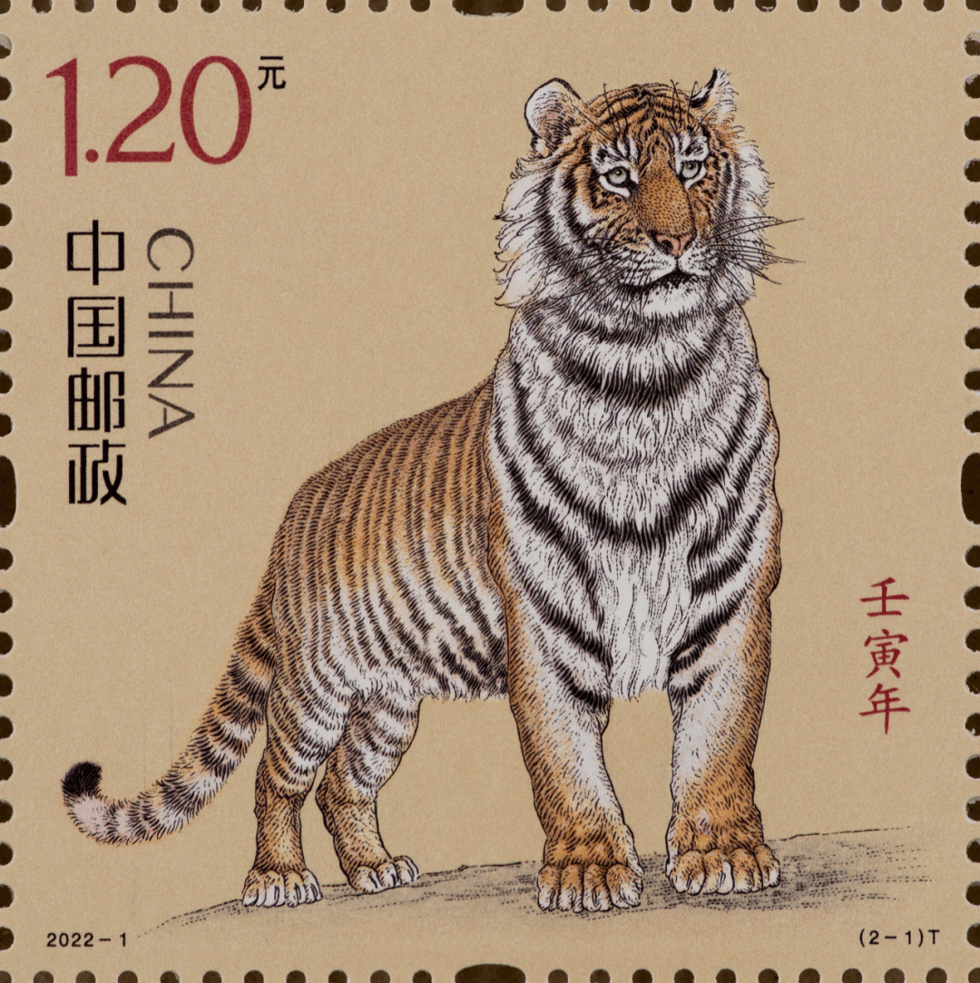 《壬寅年》特种邮票发行