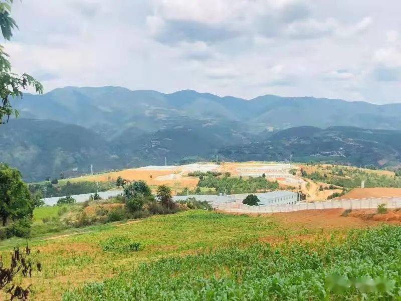 永平县杉阳镇:答好"大理之问",奋力跑出杉阳发展加速度_建设_乡村