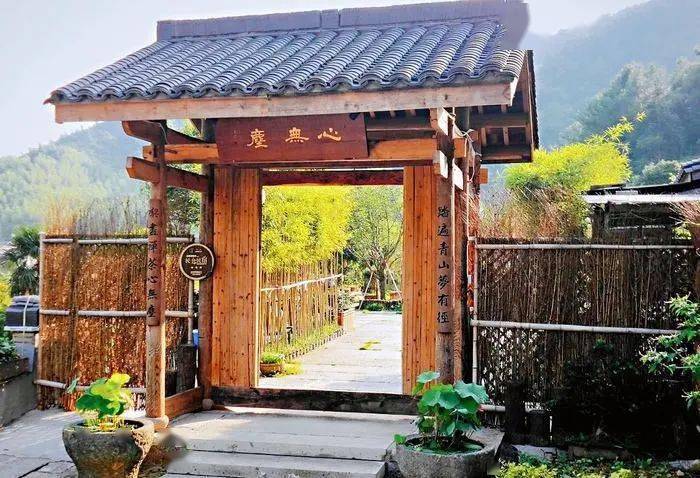 来这里,将人间烟火的乐趣浸在山水秘境里_王萍_径山_柚子