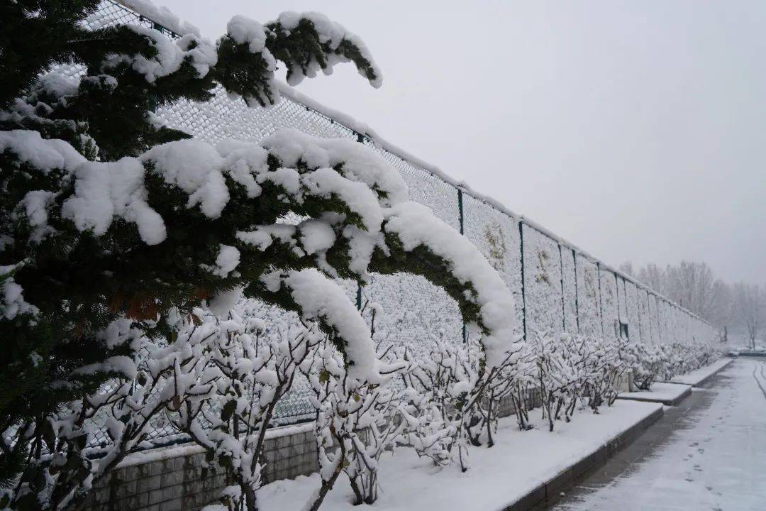 河北民族师范学院雪景图片