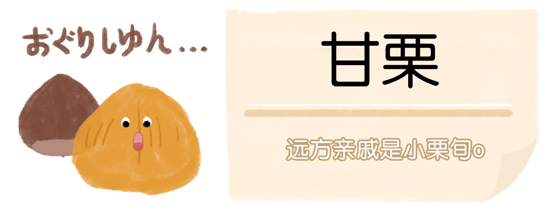 海苔|年货必备小零食!回购10次都不止,真的太太太好吃了!