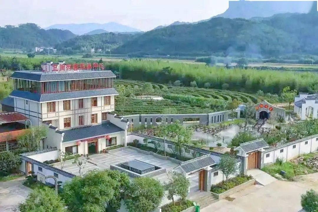 绿盈乡村绿色发展路南平市邵武市卫闽村成为诗和远方