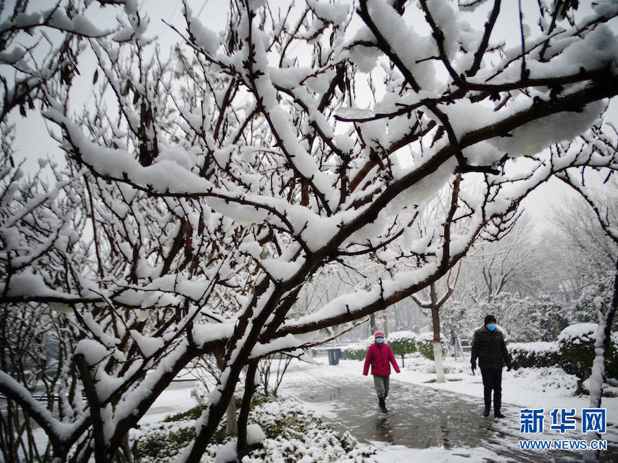 雪景|雪后汴京 景色迷人