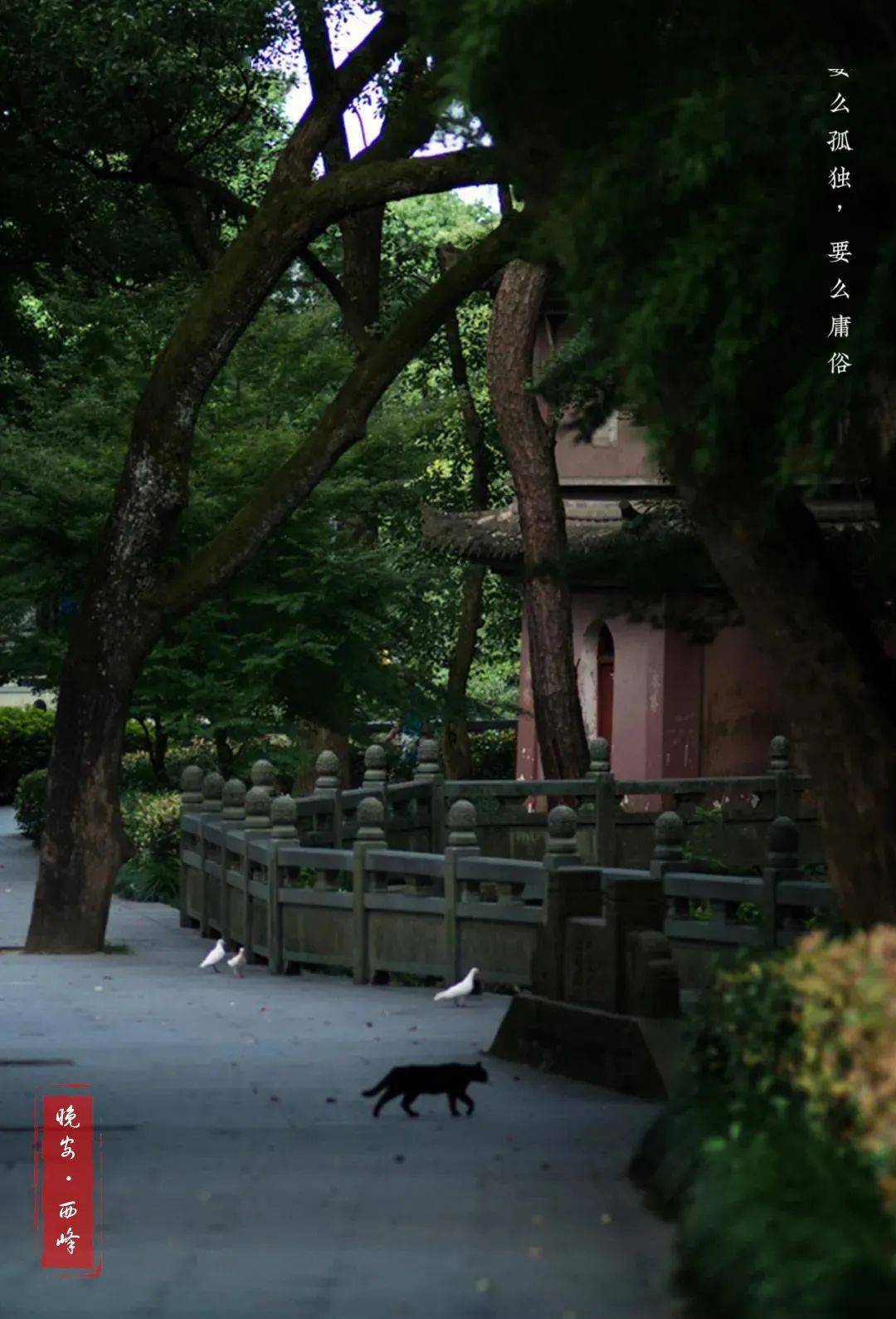 要么孤独，要么庸俗_搜狐网