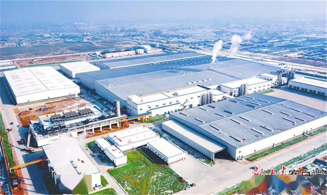 武威市加快甘肃乳都和百亿级河西走廊黄金奶源基地建设