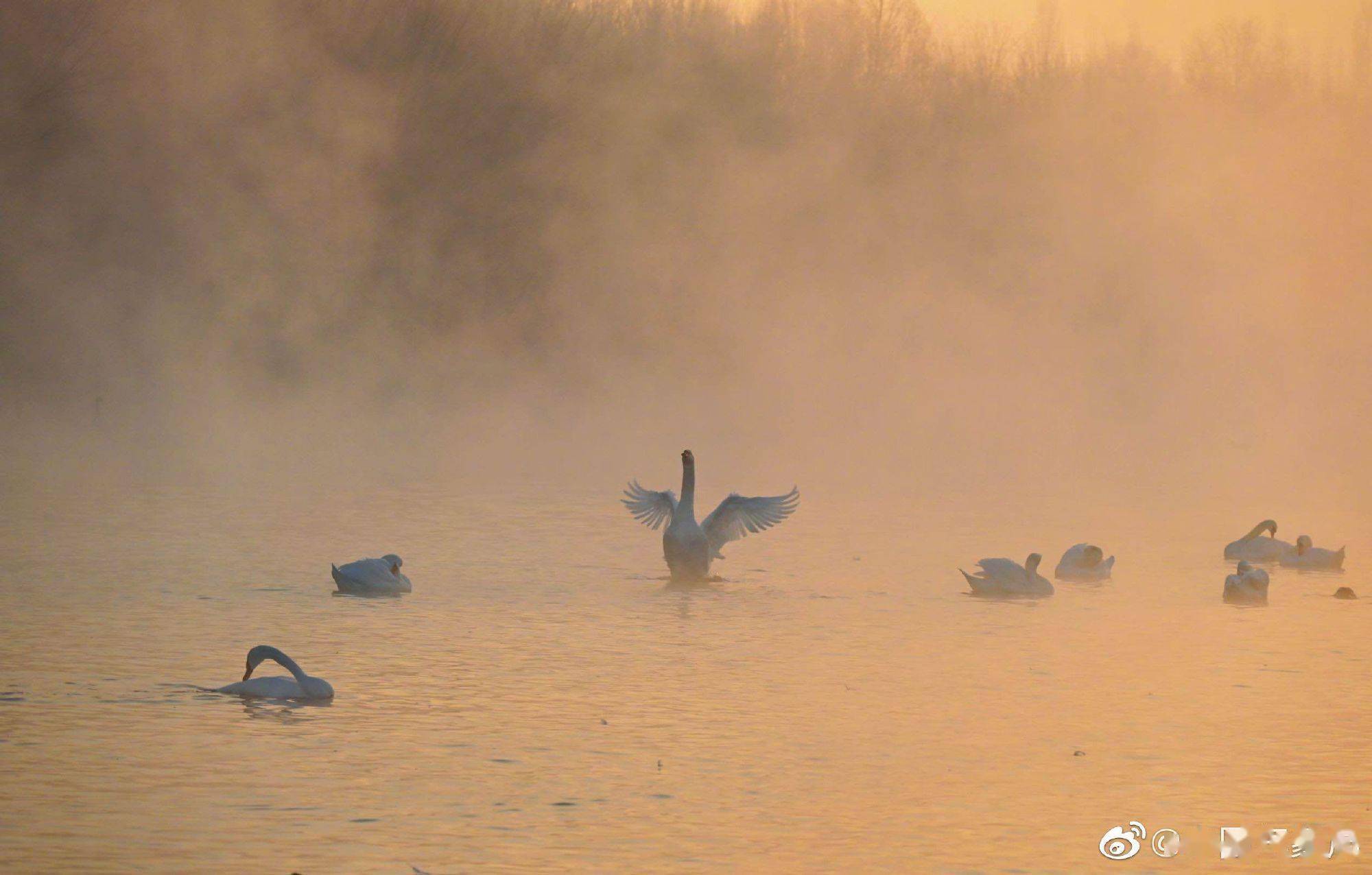 新疆伊犁哈萨克自治州伊宁县天鹅湖宛如仙境