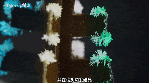 实验|500W网友围观！90后学霸猜出这玩意的配方后，造了一棵超大号