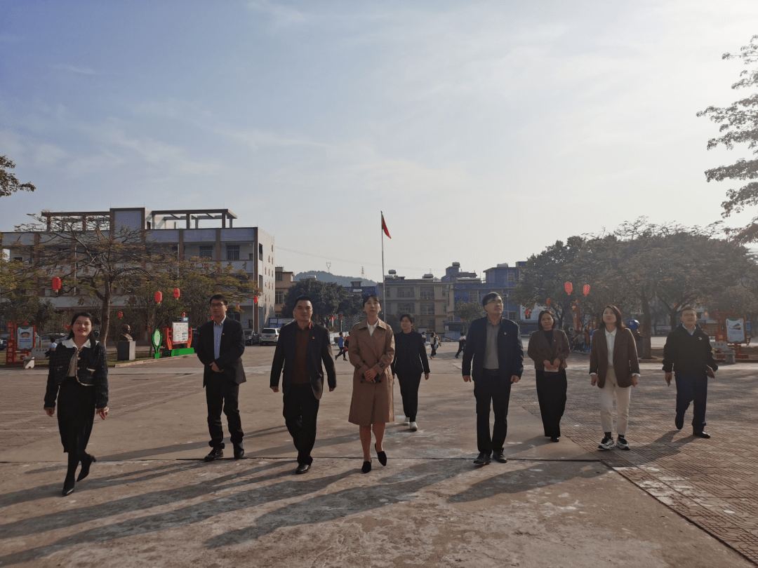 团清远市委副书记杨凌凤到我市调研少先队工作_英德市_历史感_黎溪镇