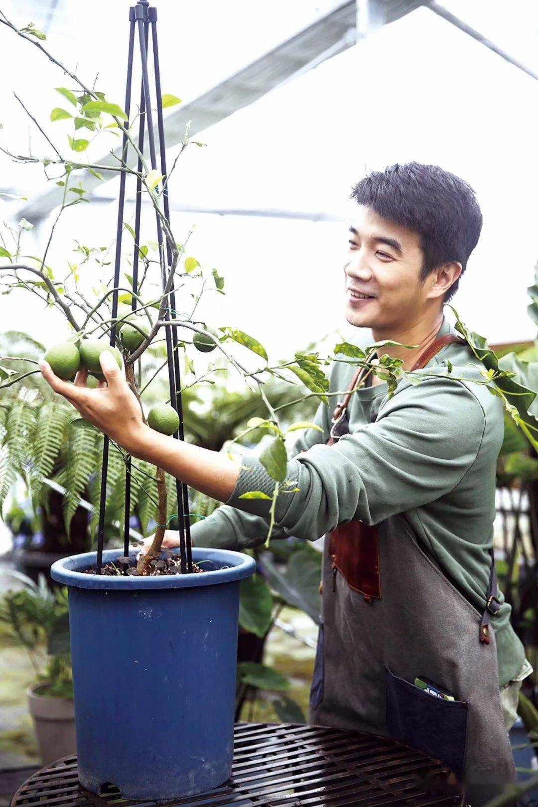 种花王大爷园艺一哥二次起跑花卉直播专题