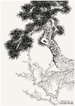 工笔花鸟画教程详细步骤 d179716c09ef4ecdb463c8693879633e.png
