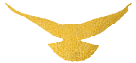 大地诚邀您参加夜话交流 程先生 幼教 幼儿园