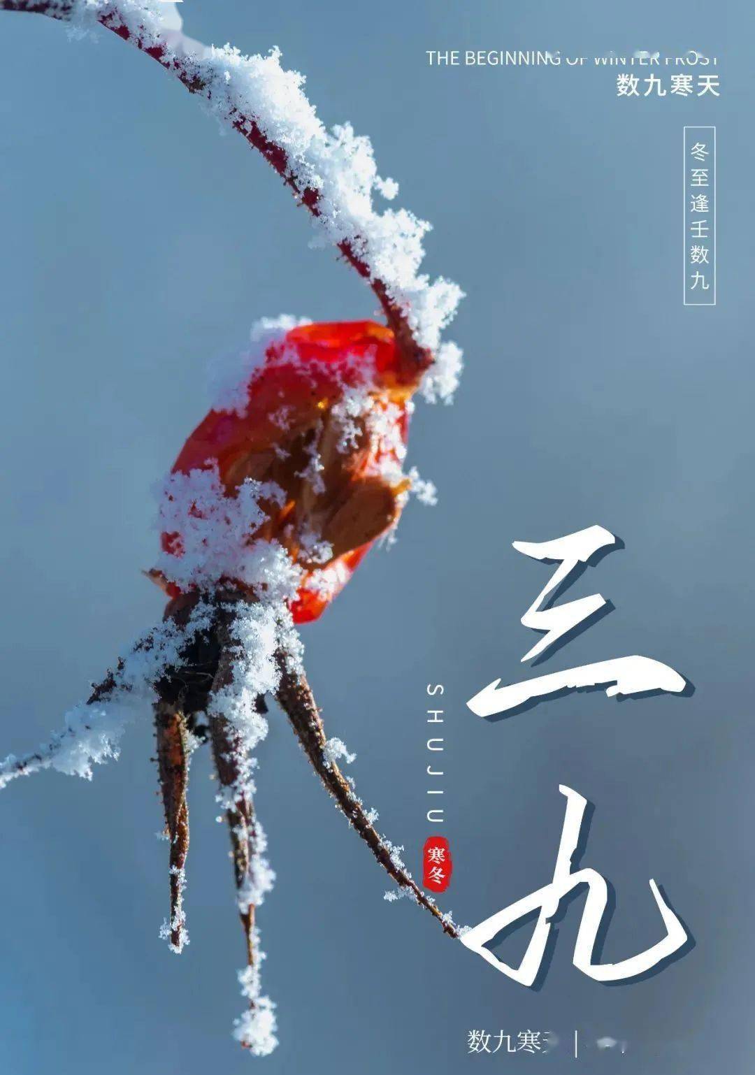 今日入三九一年中最冷的日子真的来了吗