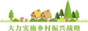 昆明数字乡村营建有“智”更有“质” 