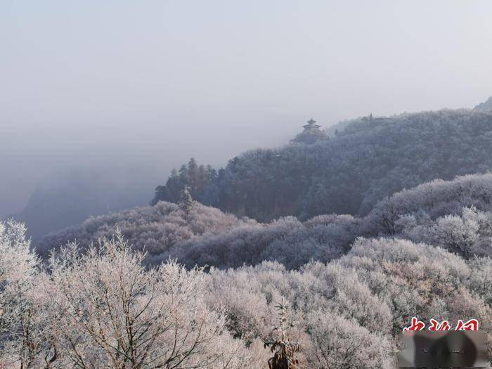 雾凇|甘肃崆峒山雾凇连绵 山脉成白色世界