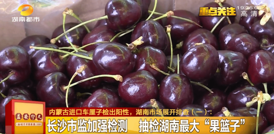 湖南市场的水果还安全吗?_进口_检测_车厘子