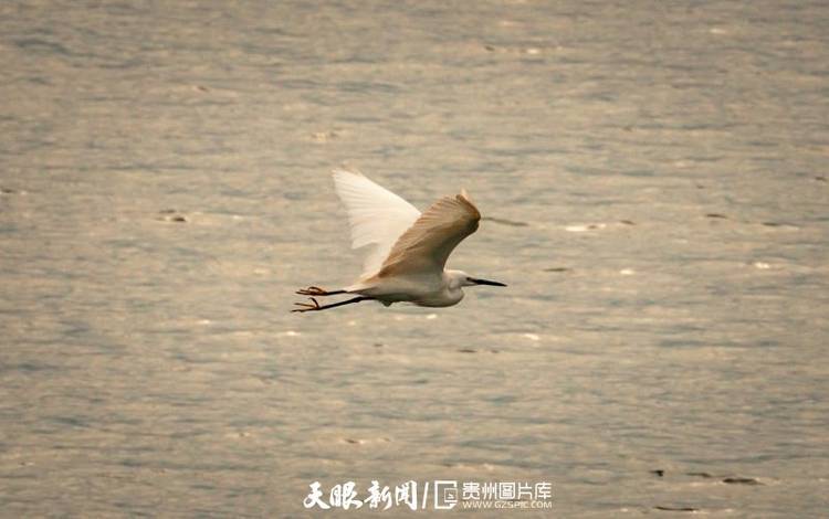 江水清清|黔西南望谟：红水河江水清清悦近人