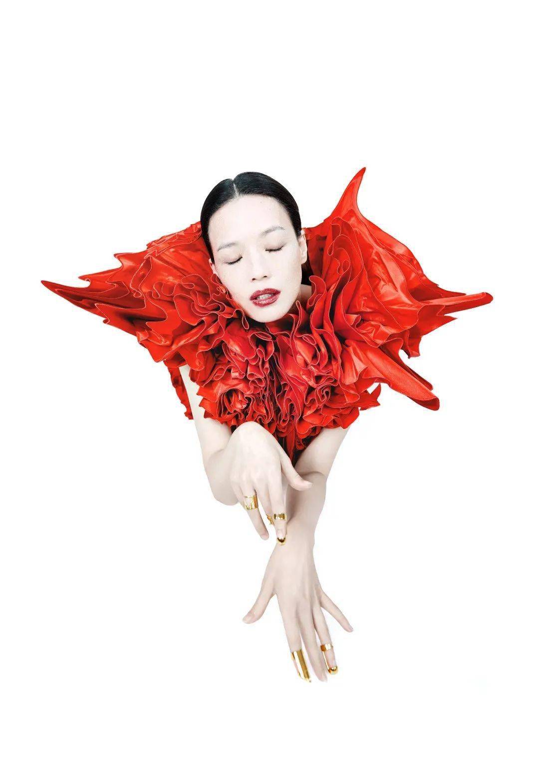 label who|来看看是谁打造了蕾虎本命年新春大片？