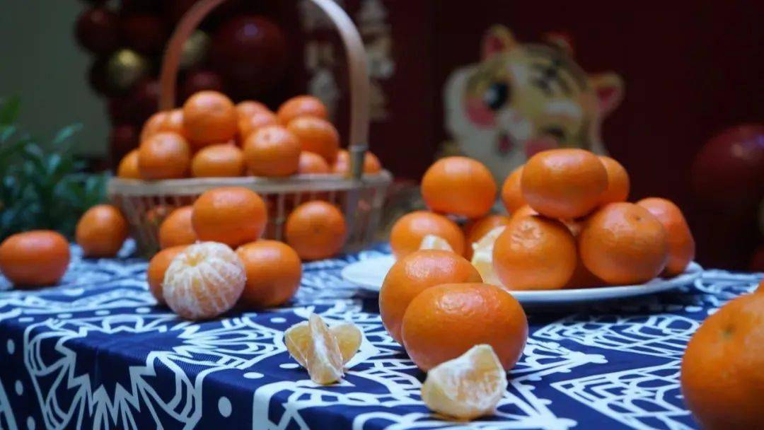 班级|播种绿色 收获幸福 | 一起来学校摘沃柑吧！