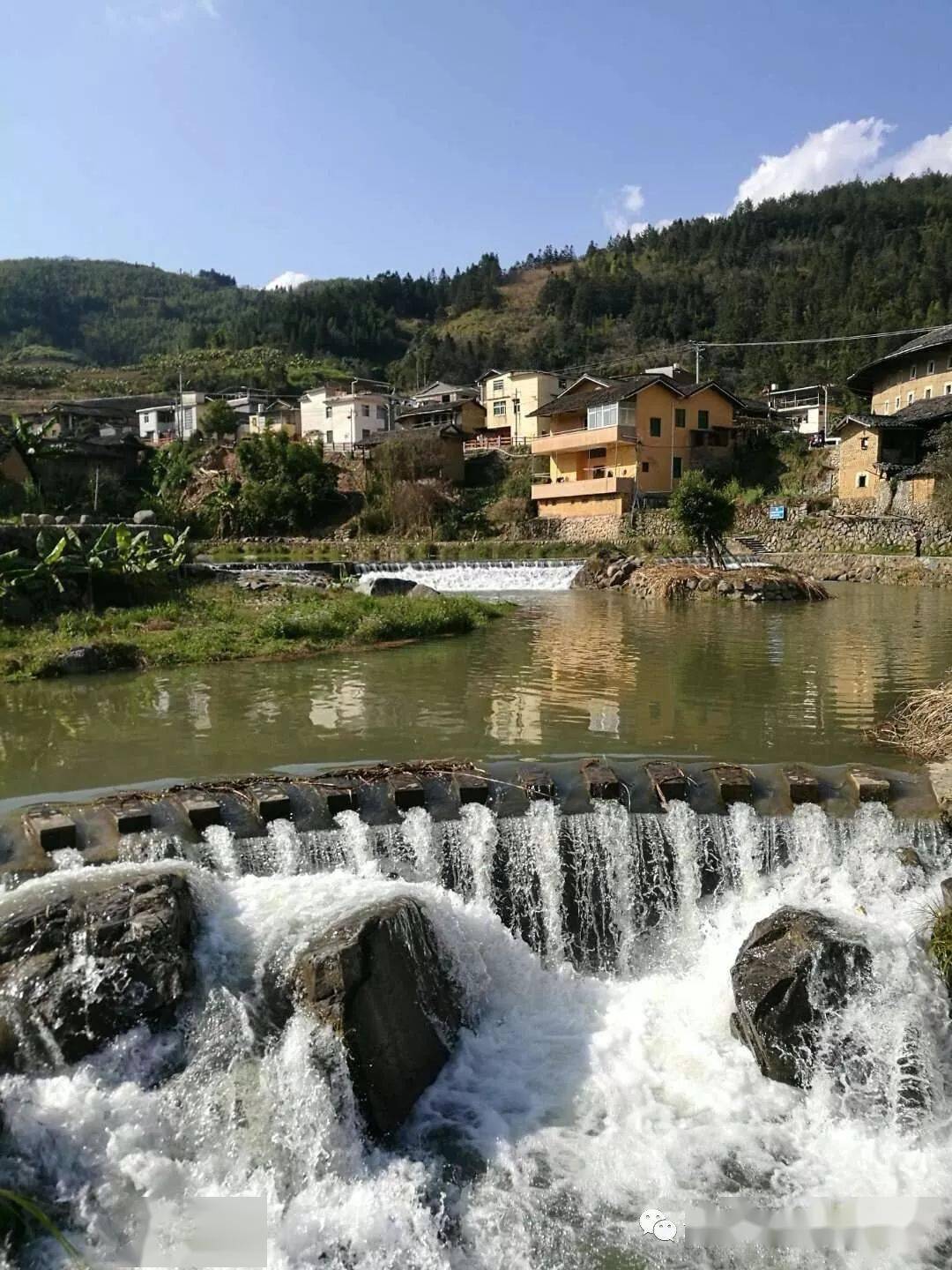 南靖粉梅正浓最美乡村石桥村