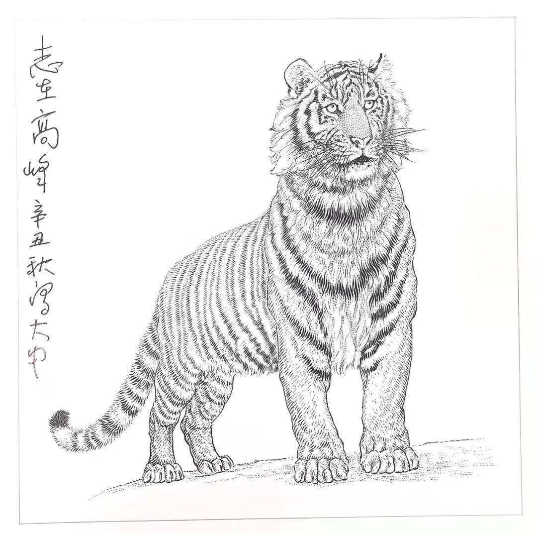 求高度神似非简单复刻原艺珊谈壬寅年邮票第1枚的雕刻