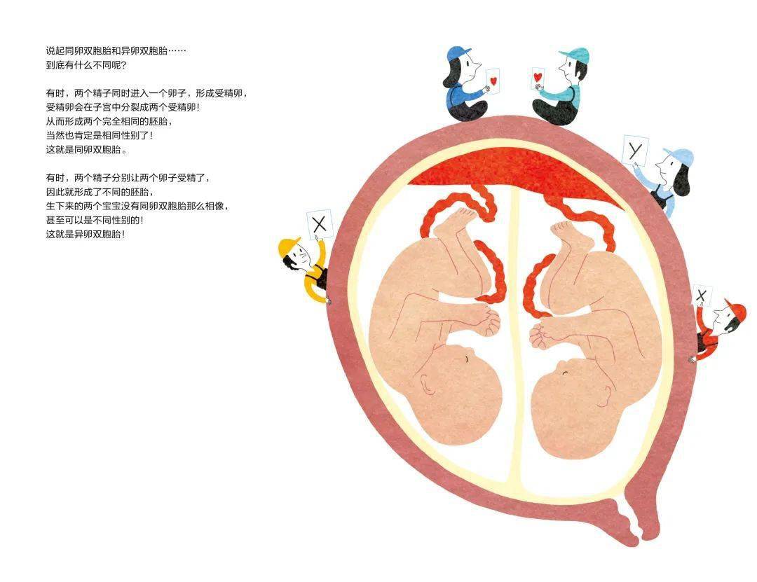 幻想|严谨的科普绘本，也可以用一点点法式幻想来调味